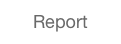 Report